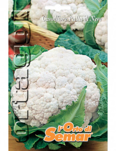 Snowball Cauliflower Super...