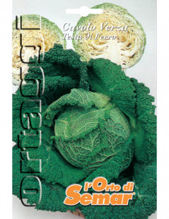 Iron Head Cabbage Super Packet