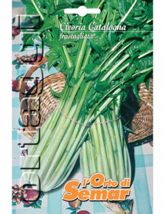 Catalogna Veined Chicory...