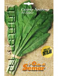 Spadona Chicory Super Packet