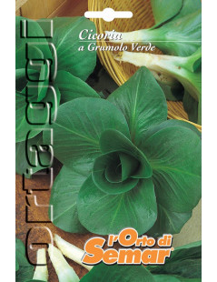 Grumulo Green Chicory Super...