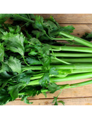 Celery seeds